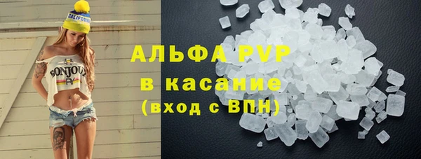 СК Каменка