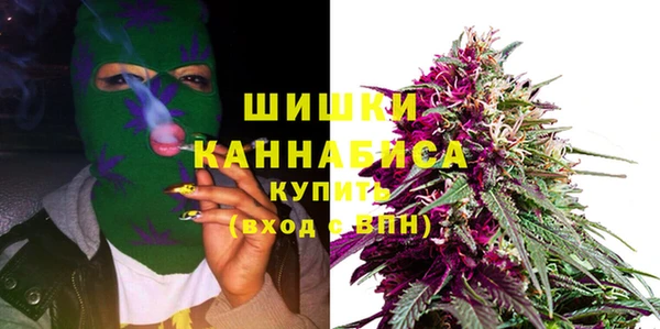 стафф Карпинск