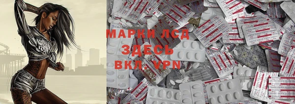 стафф Карпинск