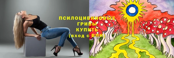 стафф Карпинск