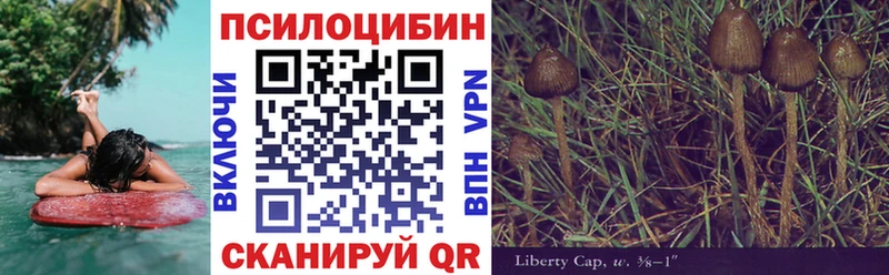 Галлюциногенные грибы Psilocybe  Купить где  Жуков 